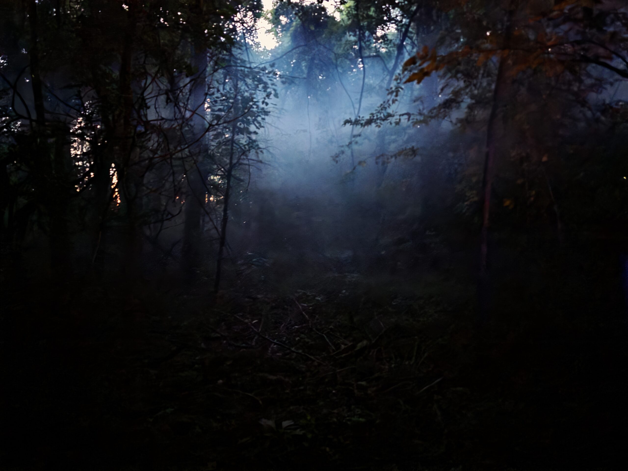 TwsitedRoots Oklahoma Haunted House Eerie Scene