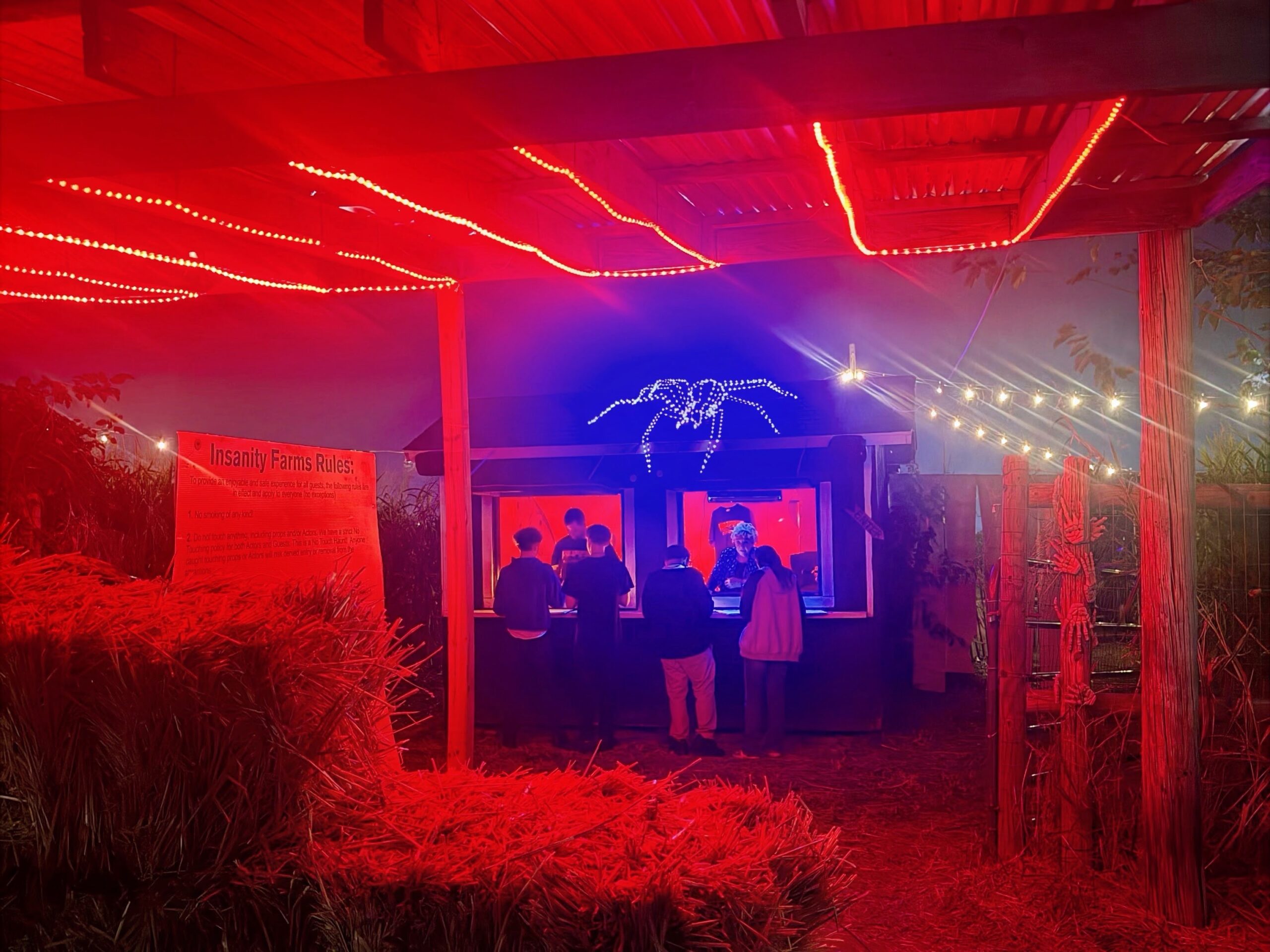 Insanity Farms